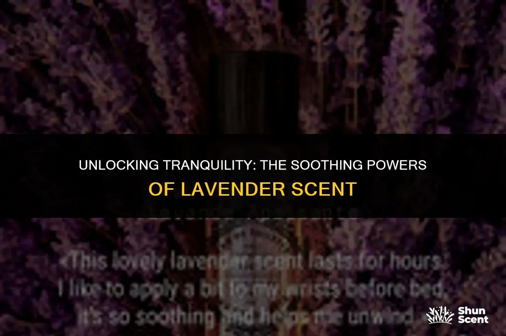 what does lavender scent do