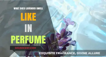 The Soothing Scent of Lavender in Perfumes