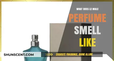 Le Male Perfume: A Sensual, Woody Scent