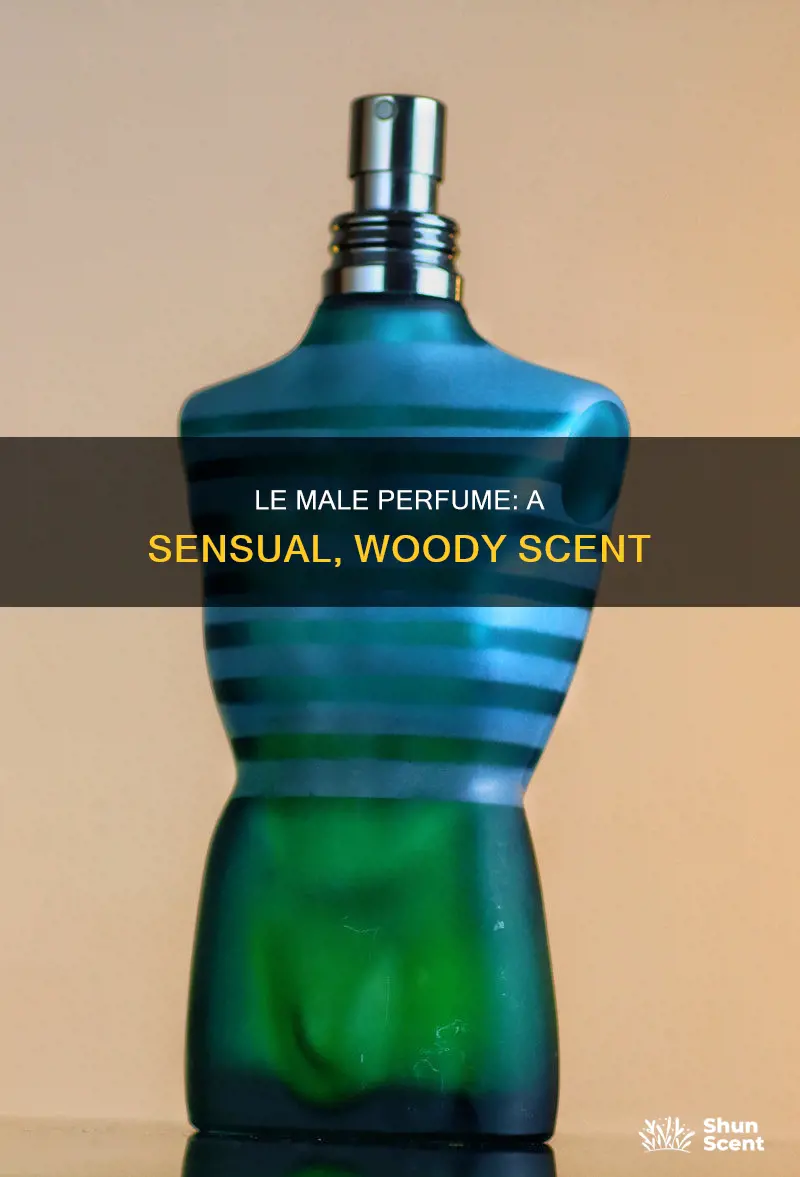 what does le male perfume smell like