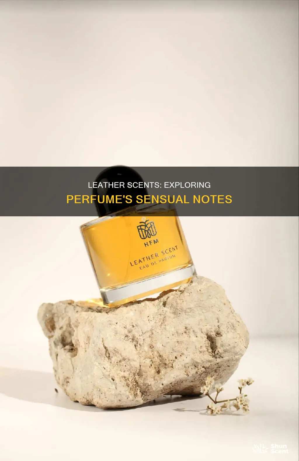 what does leather smell like in perfume
