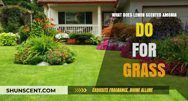 Revitalize Your Lawn: The Surprising Benefits of Lemon-Scented Ammonia