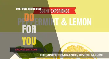 Unleashing the Power of Lemon Scent: Benefits and Uses