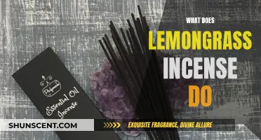 Lemongrass Incense: Its Purifying Power and Calming Fragrance