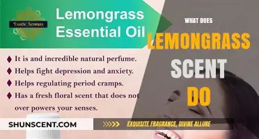 Unveiling the Aromatic Powers: What Lemongrass Scent Can Do