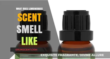 Exploring the Fragrant World of Lemongrass: A Scent Profile