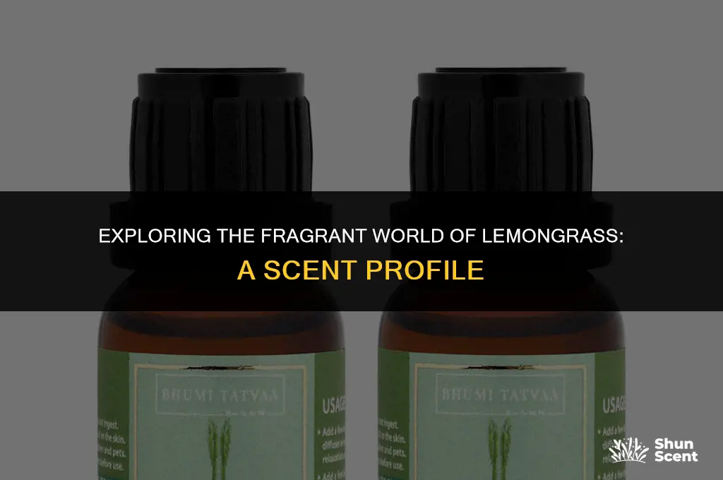 what does lemongrass scent smell like
