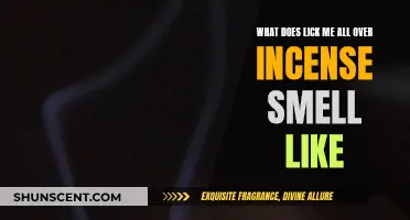 Incense Aromas: Lick Me All Over, a Sensual Fragrance