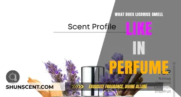 Licorice Notes in Perfume: Sweet and Spicy Scents