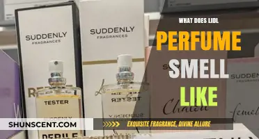 Lidl Perfume: What's the Scent Like?