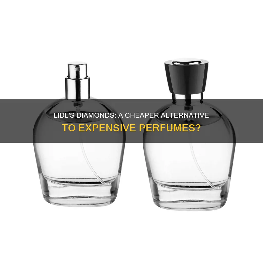 what does lidl suddenly diamonds perfume smell like
