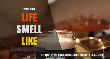 The Aromatic Essence of Life: Unveiling the Scents We Live By