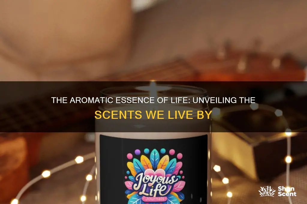 what does life smell like