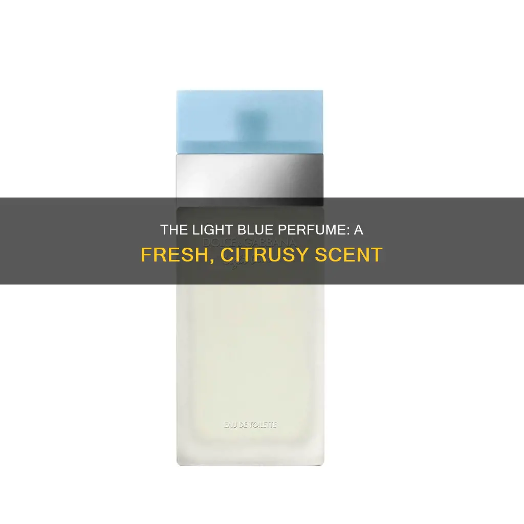 what does light blue perfume smell like