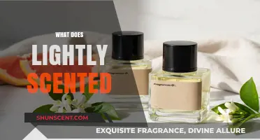 Exploring the Subtle Art of Lightly Scented Perfumes