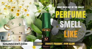 Lily of the Valley Perfume: Fresh, Green, and Delicate