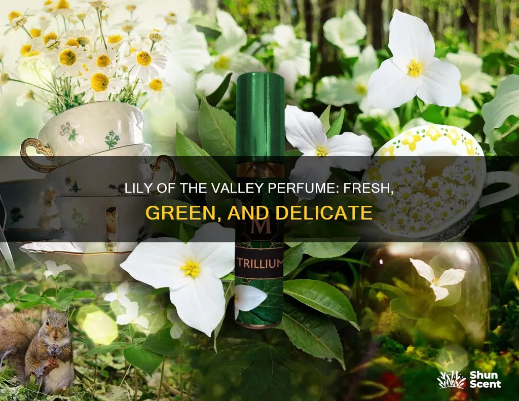 what does lily of the valley perfume smell like