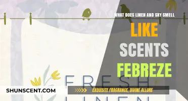 Fresh Linen and Open Skies: Capturing Nature's Essence with Febreze