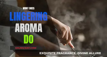 The Power of Lingering Aroma and Its Impact