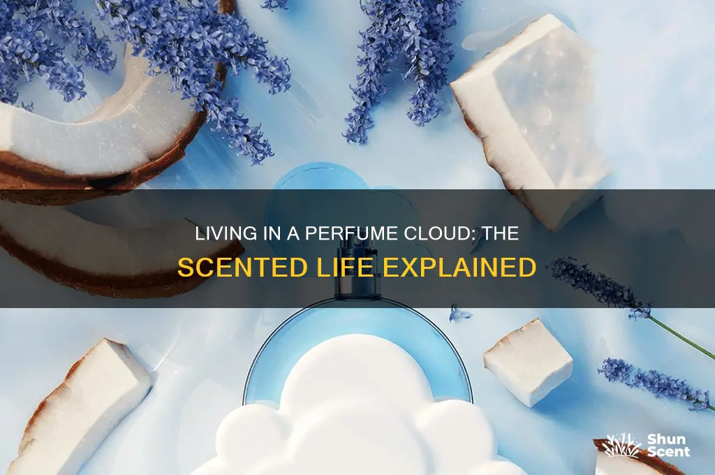 what does living in a perfume cloud mean