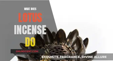 Lotus Incense: Its Benefits and Uses