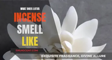 The Lotus Incense Aroma: A Fragrant, Floral Experience