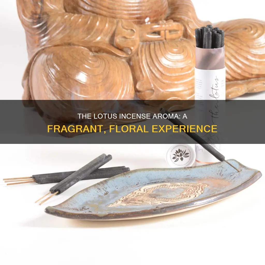 what does lotus incense smell like
