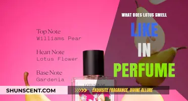 Lotus Notes: A Fragrant, Sweet Perfume