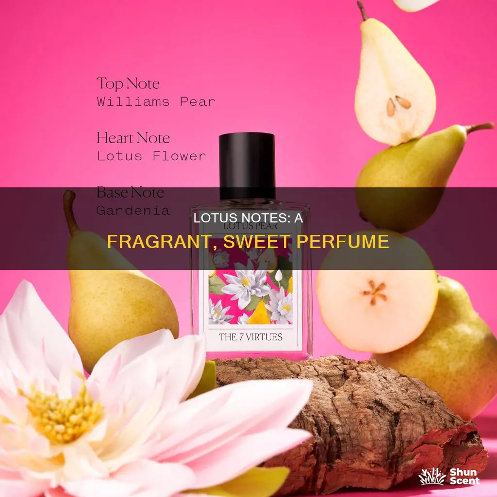 what does lotus smell like in perfume