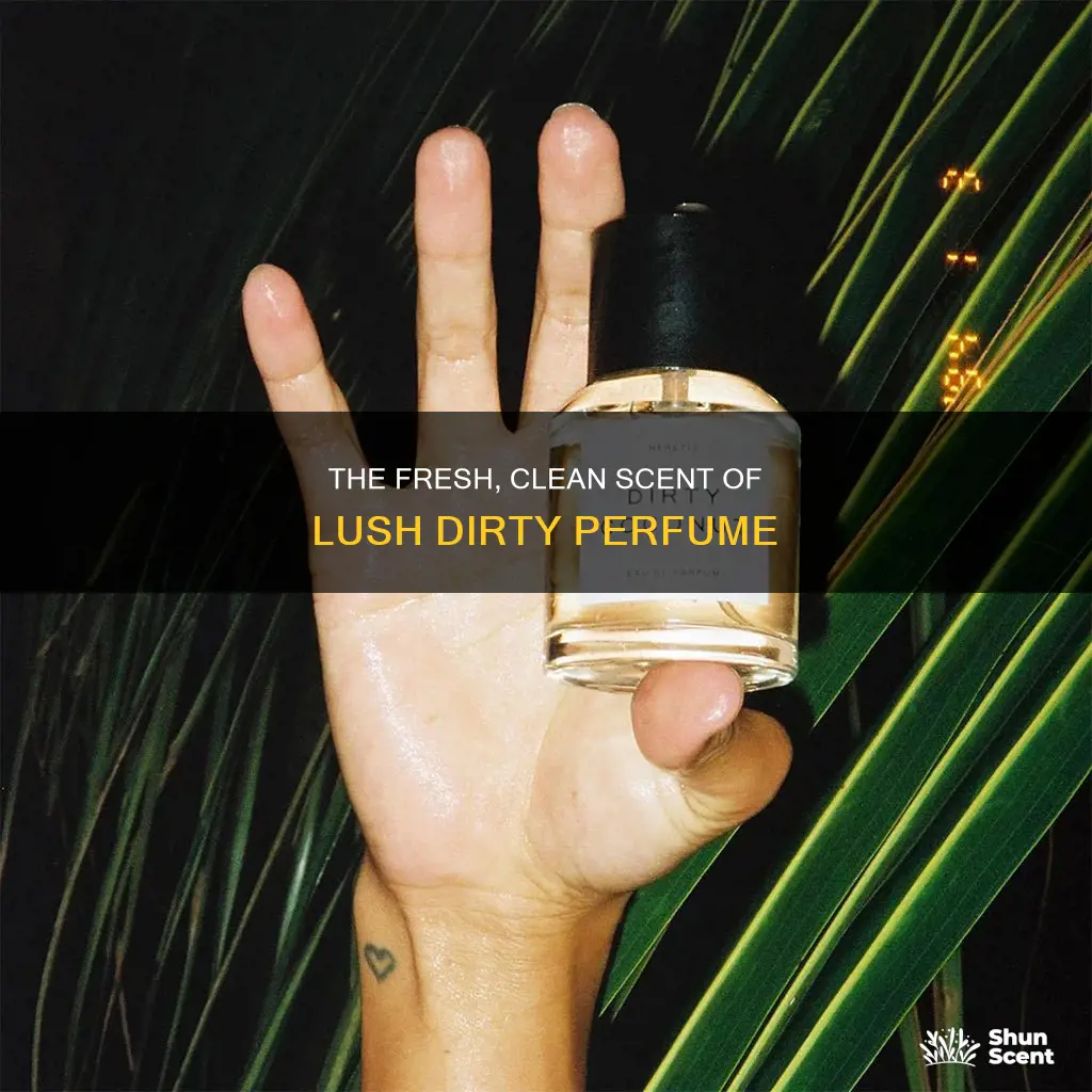 what does lush dirty perfume smell like