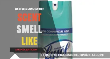 Exploring the Fresh and Clean Aroma of Lysol Country Scent