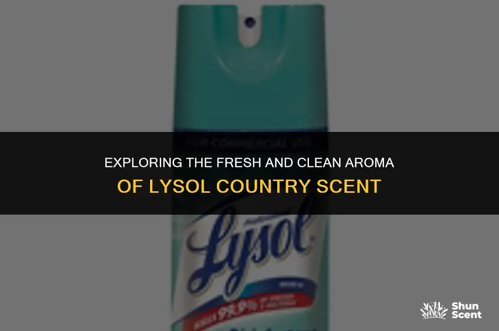 what does lysol country scent smell like
