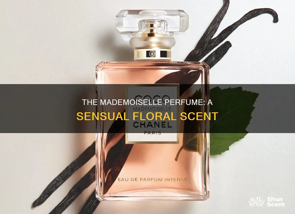 what does mademoiselle perfume smell like