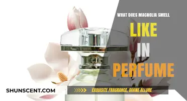 Magnolia Scents: Sweet and Fresh Perfumes