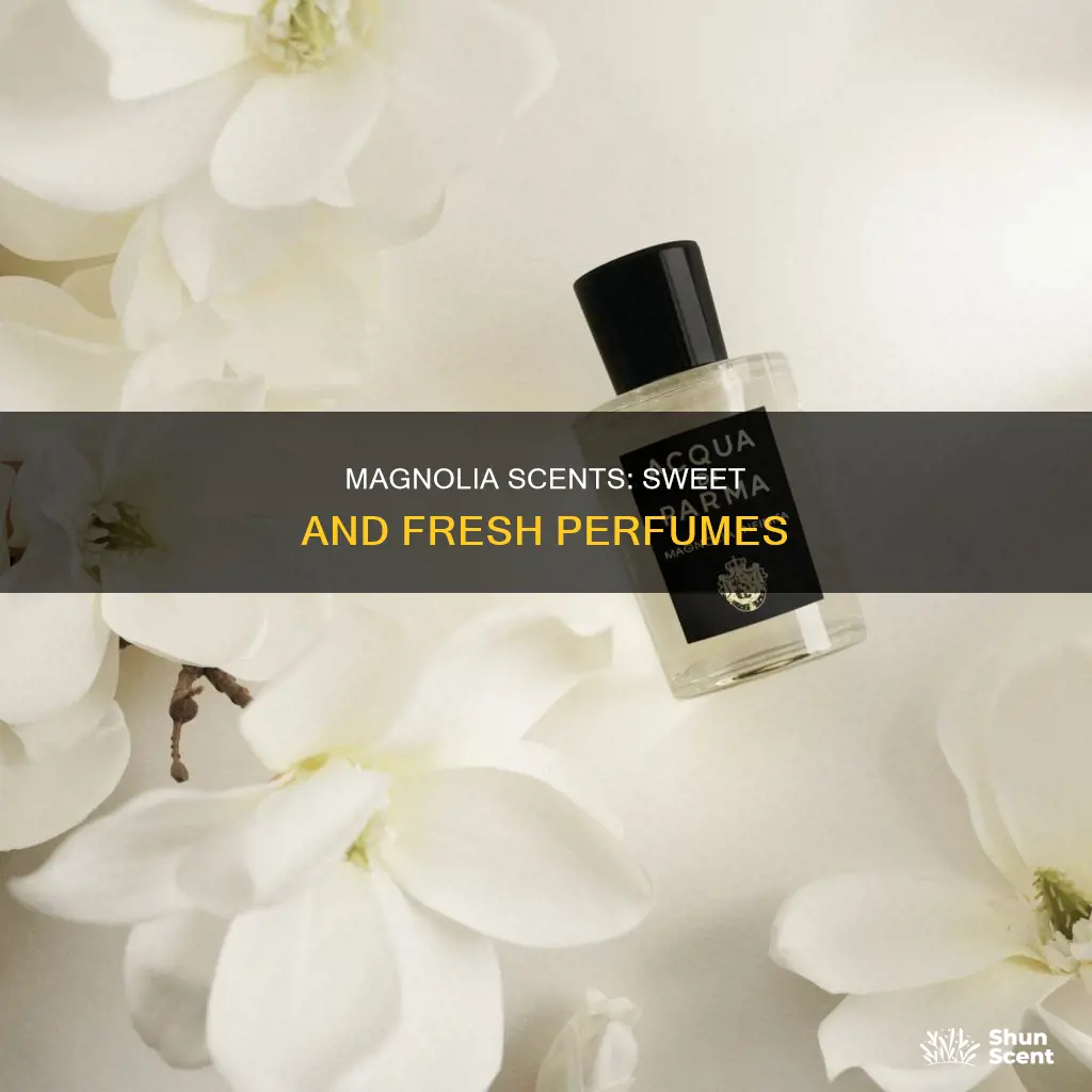what does magnolia smell like in perfume