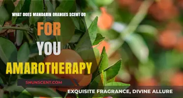 Unveiling the Aromatherapeutic Benefits of Mandarin Oranges