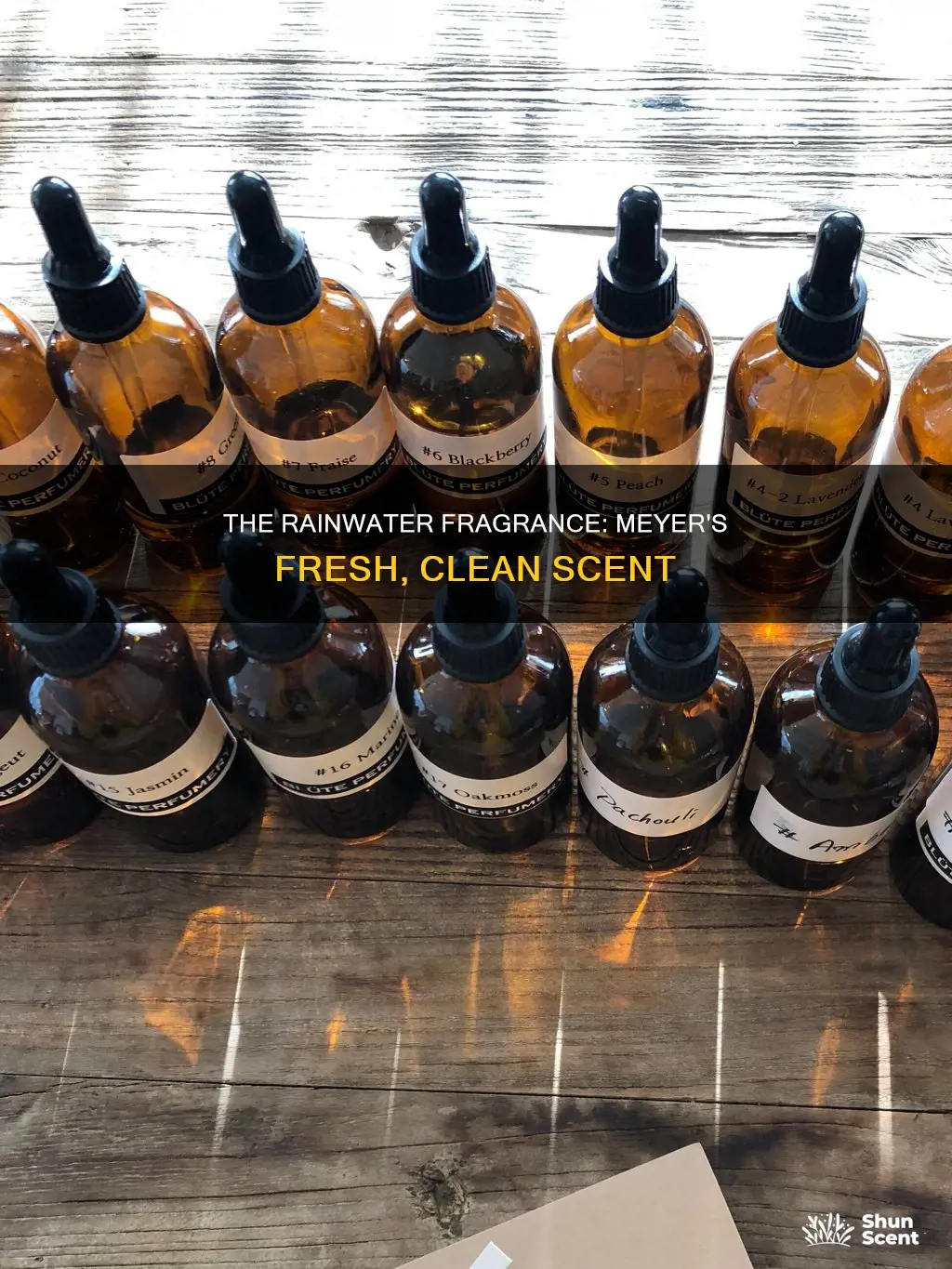 what does meyers rainwater fragrance smell like