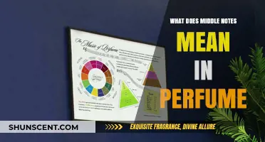 Understanding Middle Notes: The Heart of Your Perfume's Scent Story