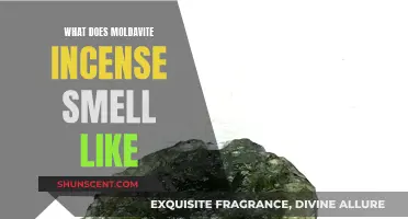 Moldavite Incense: A Unique, Earthy Aroma Experience