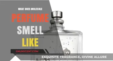 Molecule Perfume: What's the Scent Like?