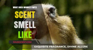 Exploring the Unique Aroma of Monkey Farts Scent