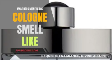 The Alluring Scent of Mont Blanc: A Fragrance Review