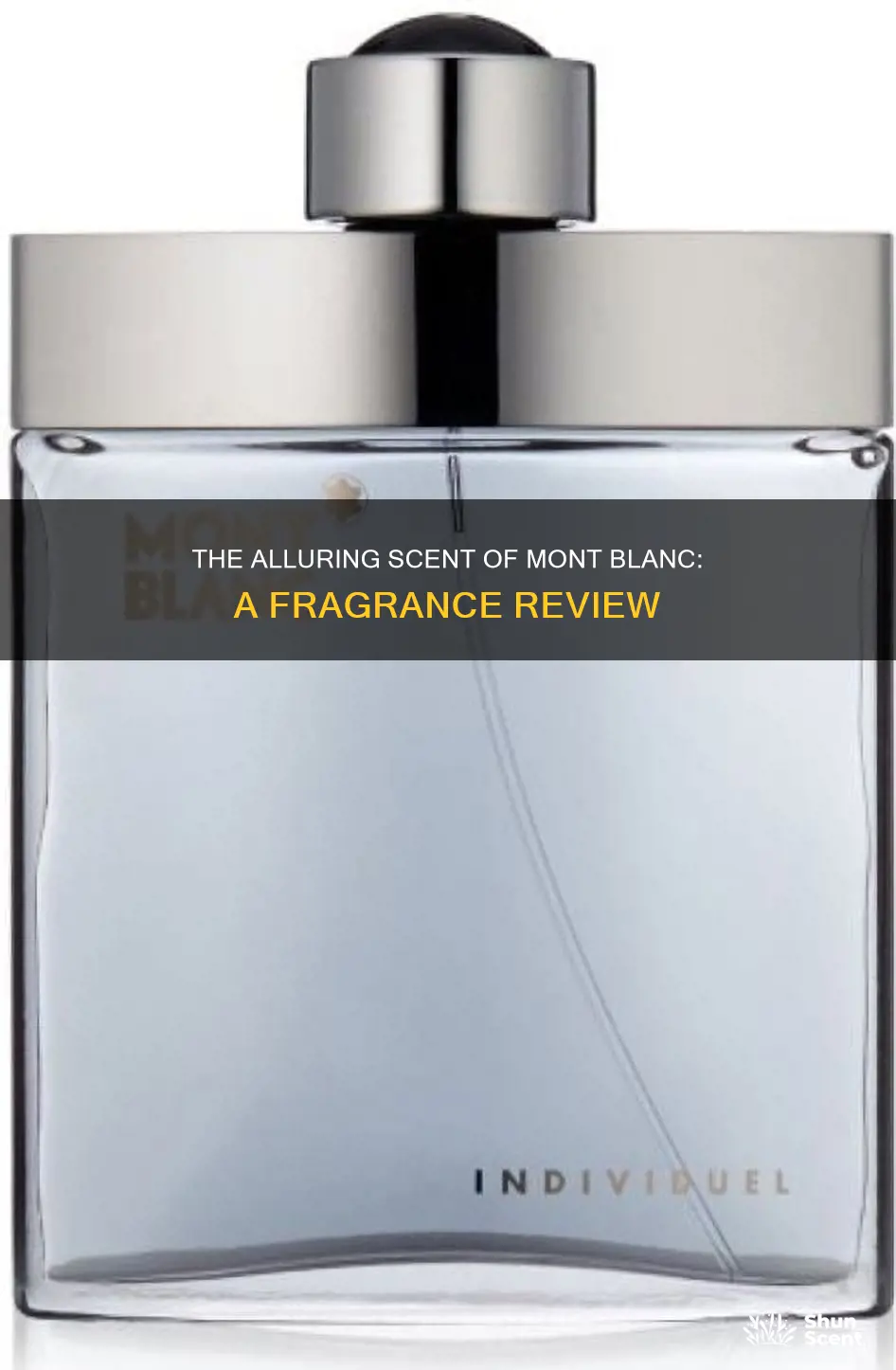 what does mont blanc cologne smell like