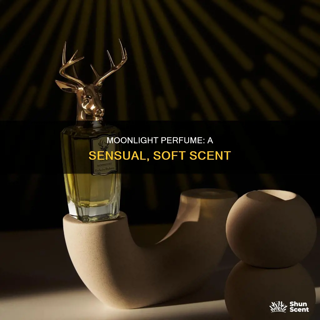 what does moonlight perfume smell like