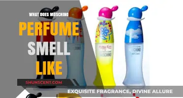 The Unique Scent of Moschino Perfumes