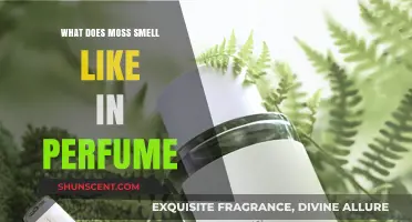 Moss Notes in Perfumes: A Fresh, Earthy Scent