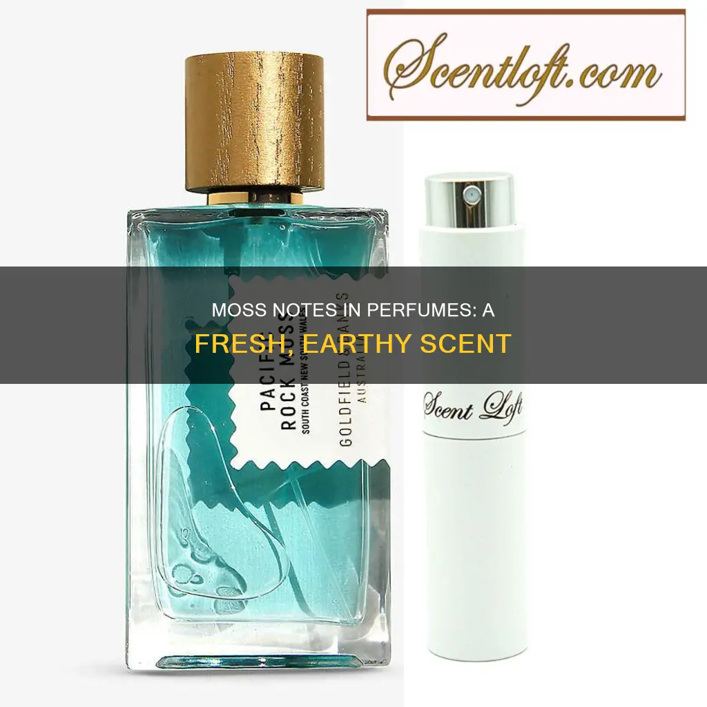 what does moss smell like in perfume
