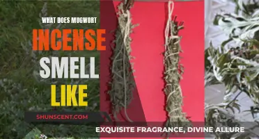 The Enchanting Scent of Mugwort Incense: A Sensory Journey