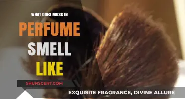 The Alluring Musk: A Fragrance Exploration