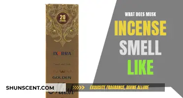 Musk Incense: A Sensual, Earthy Aroma